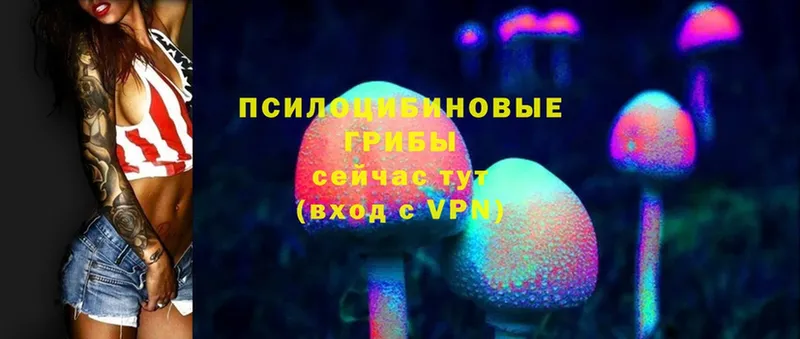 Галлюциногенные грибы Cubensis  Тверь 